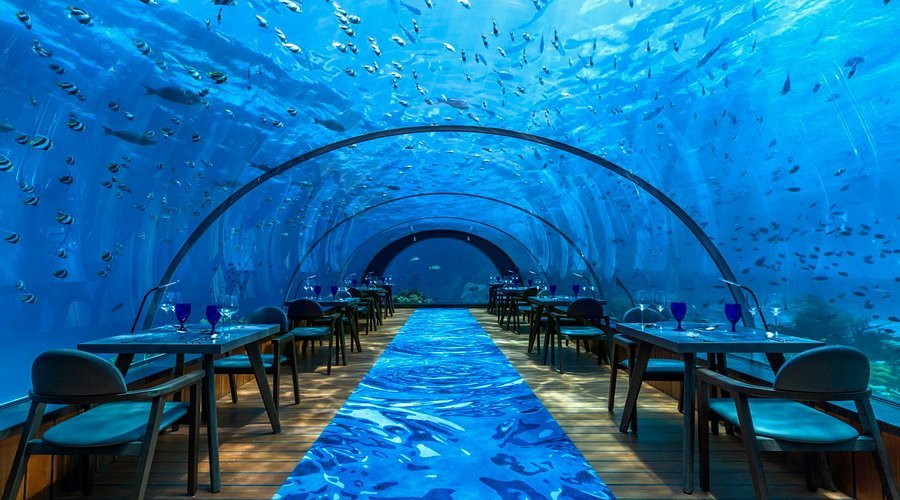 Dining room of the 5.8 Undersea Restaurant at Hurawalhi, Maldives, seen through its curved glass walls with the ocean above